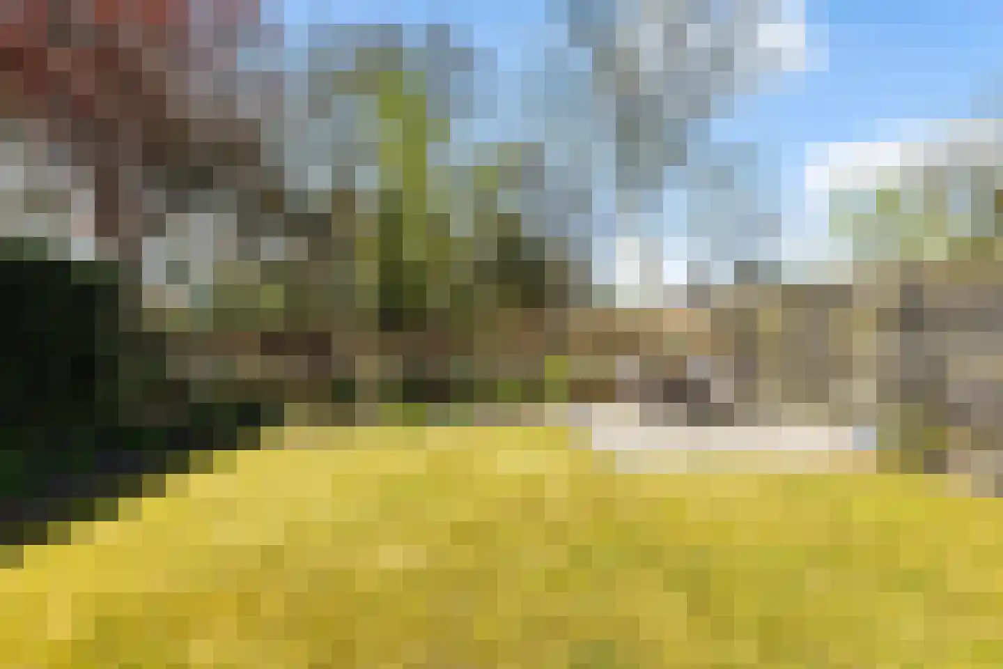 Tarweakker 19 Wezep thumbnail 37