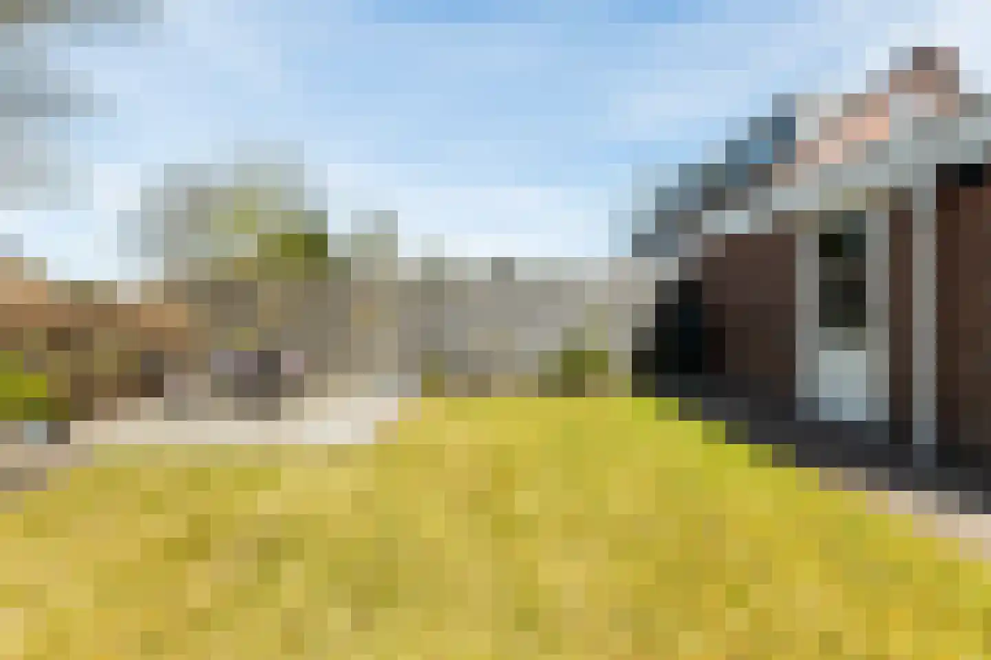 Tarweakker 19 Wezep thumbnail 38