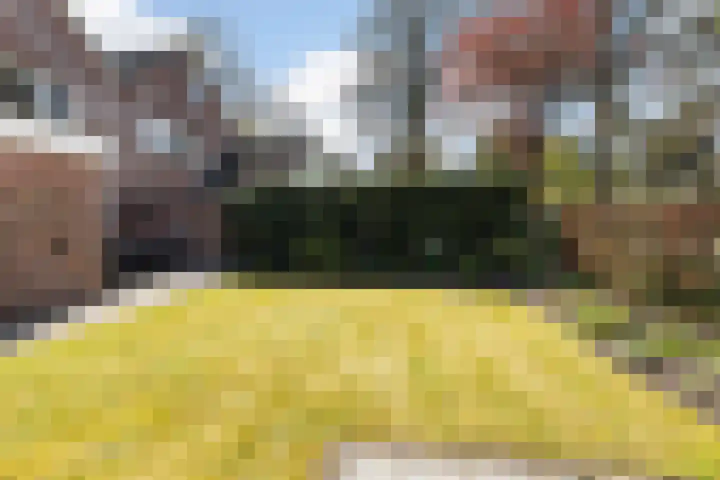 Tarweakker 19 Wezep thumbnail 39
