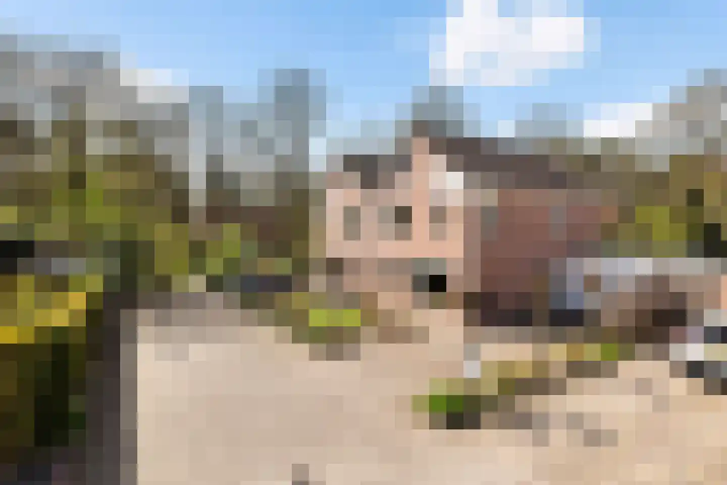 Tarweakker 19 Wezep thumbnail 4