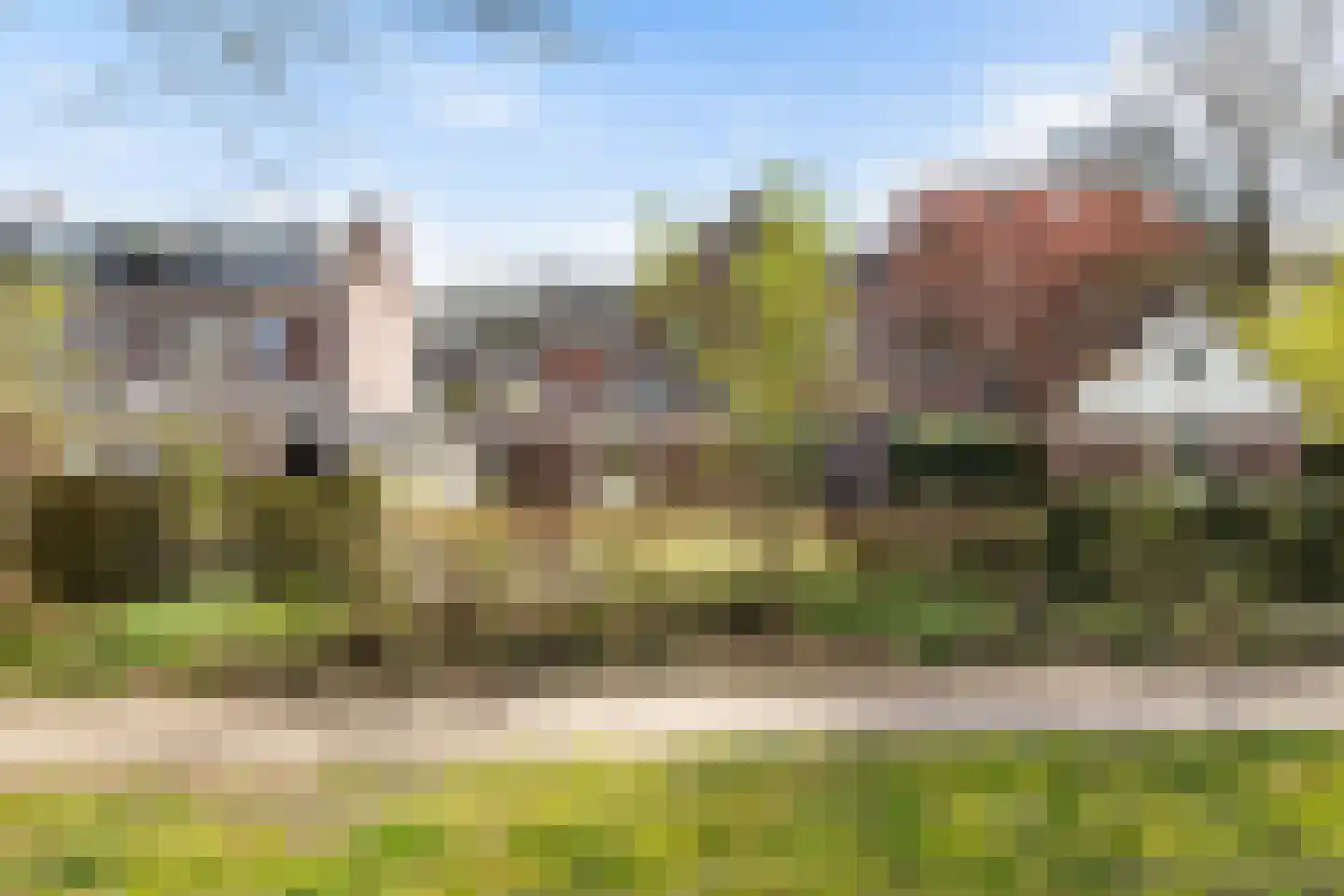 Tarweakker 19 Wezep thumbnail 41