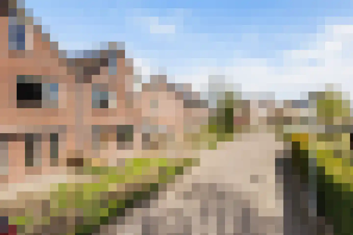 Tarweakker 19 Wezep thumbnail 5
