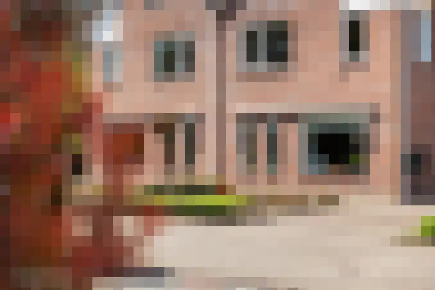 Tarweakker 19 Wezep thumbnail 6