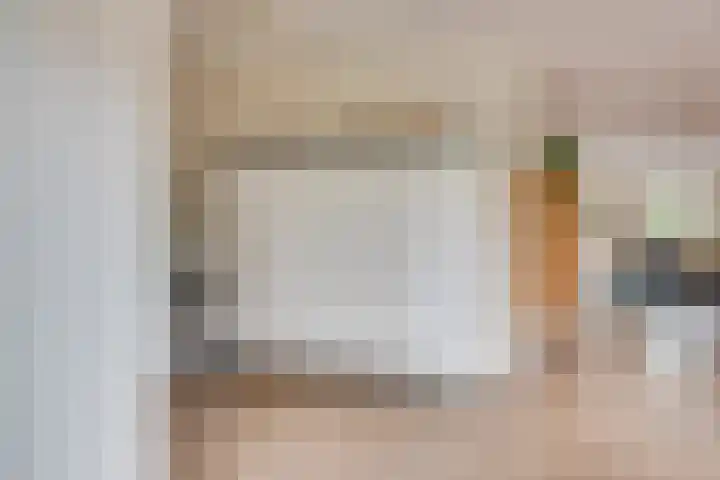 Tarweakker 20 's-Hertogenbosch thumbnail 12