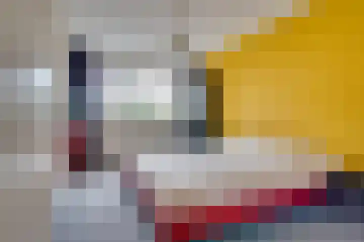 Tarweakker 20 's-Hertogenbosch thumbnail 17