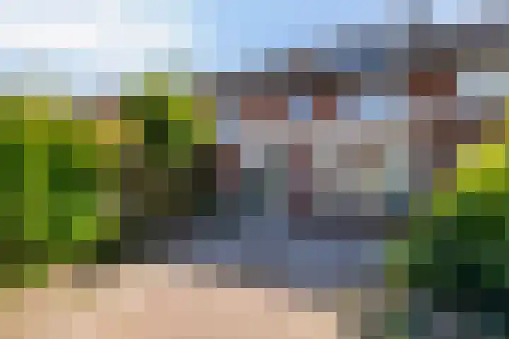 Tarweakker 20 's-Hertogenbosch thumbnail 19