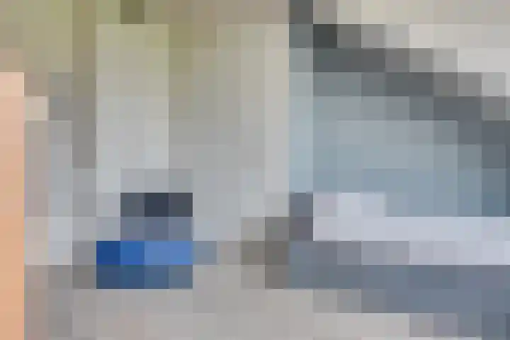 Tarweakker 20 's-Hertogenbosch thumbnail 25