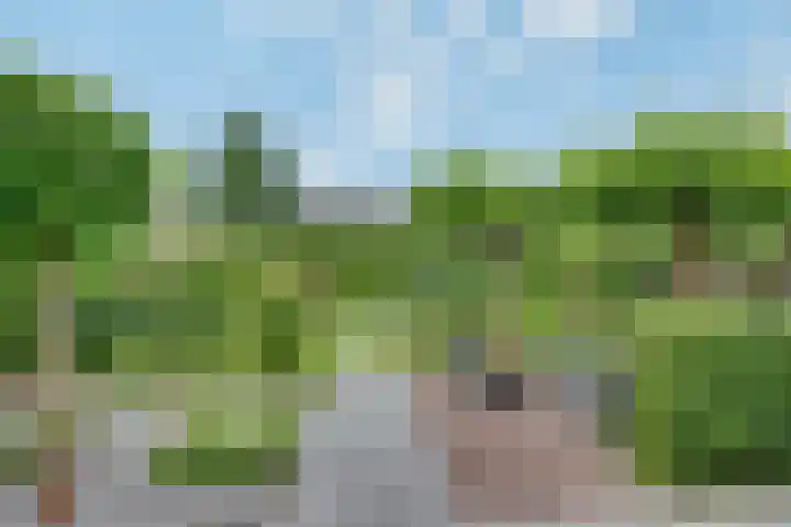 Tarweakker 20 's-Hertogenbosch foto 3