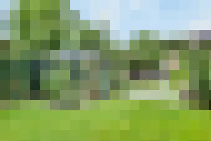 Tarweakker 20 's-Hertogenbosch thumbnail 32