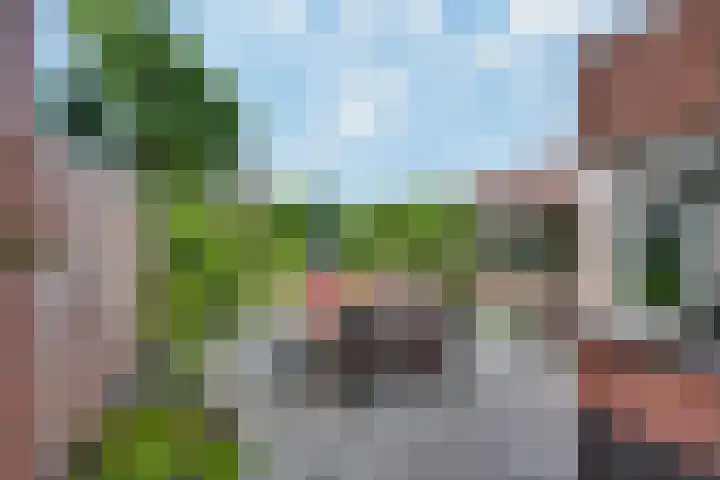 Tarweakker 20 's-Hertogenbosch thumbnail 37