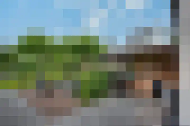 Tarweakker 20 's-Hertogenbosch thumbnail 38