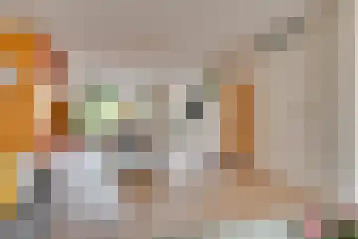 Tarweakker 20 's-Hertogenbosch thumbnail 4