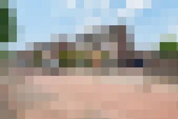 Tarweakker 20 's-Hertogenbosch thumbnail 41