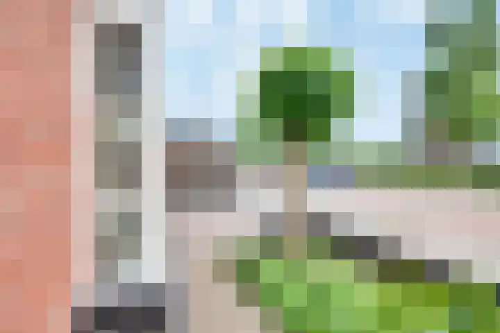 Tarweakker 20 's-Hertogenbosch thumbnail 42
