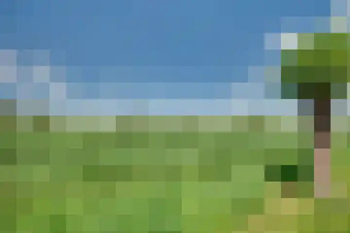 Tarweakker 20 's-Hertogenbosch thumbnail 43