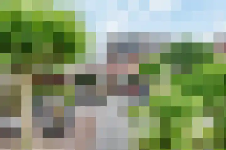 Tarweakker 20 's-Hertogenbosch thumbnail 55