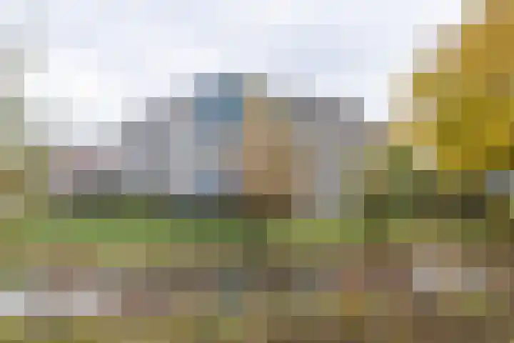 Tarweakker 26 Barneveld