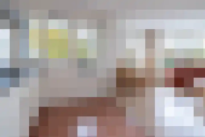 Tarweakker 26 Barneveld thumbnail 11