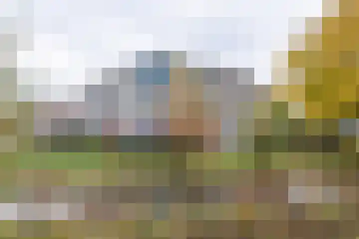 Tarweakker 26 Barneveld foto 2