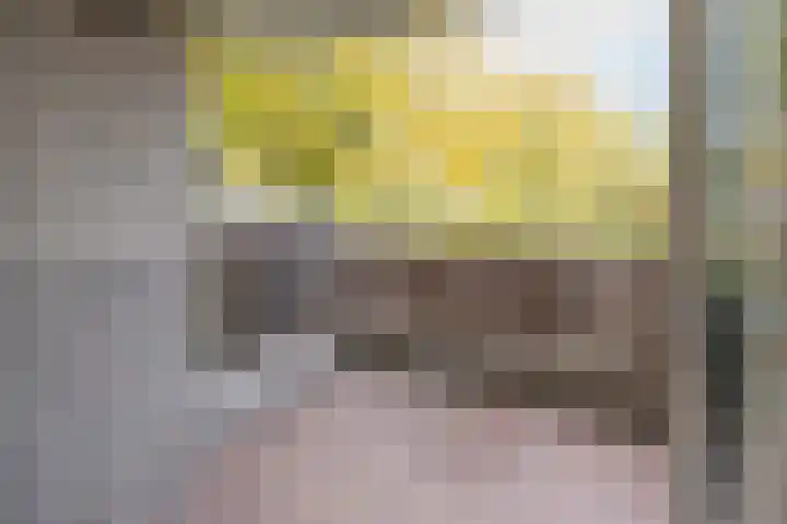 Tarweakker 26 Barneveld thumbnail 23