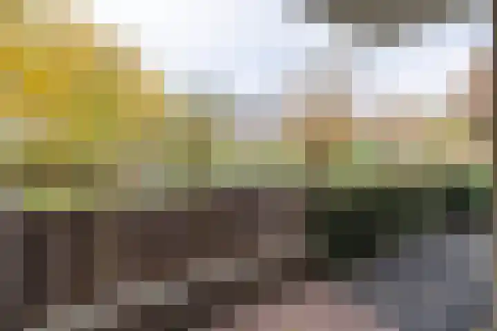 Tarweakker 26 Barneveld thumbnail 27