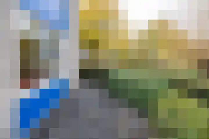 Tarweakker 26 Barneveld thumbnail 29