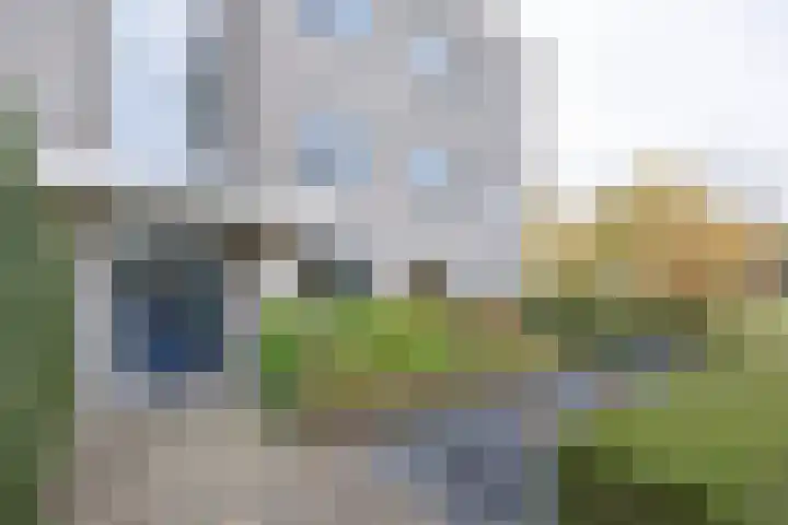 Tarweakker 26 Barneveld thumbnail 31