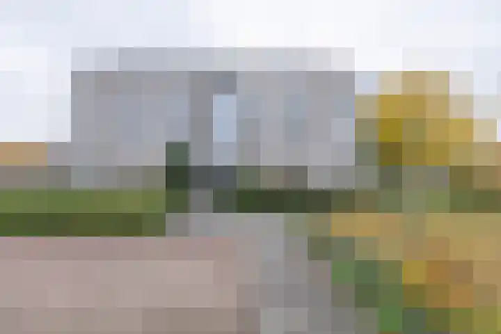 Tarweakker 26 Barneveld thumbnail 32