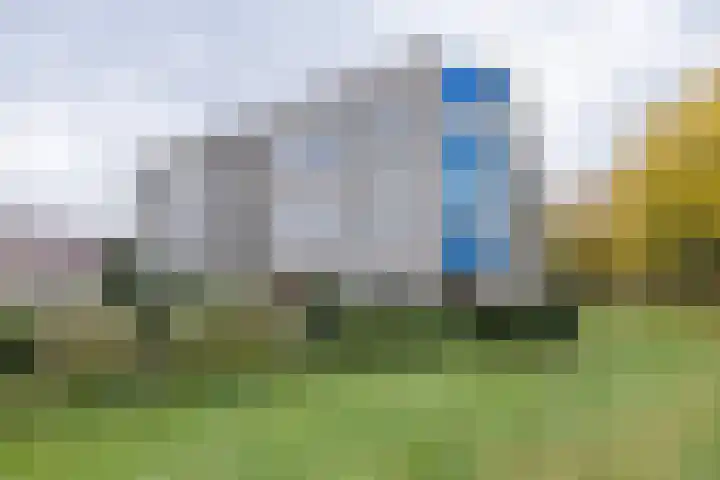 Tarweakker 26 Barneveld thumbnail 37