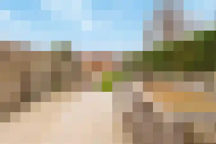 Tarweakker 26 Barneveld thumbnail 38