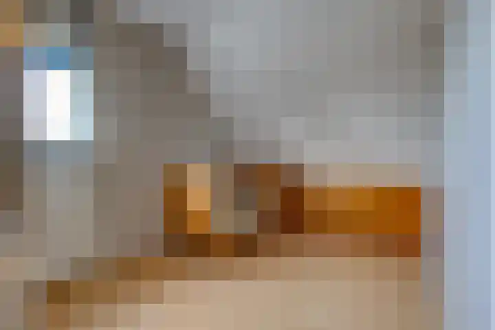 Tarweakker 26 Barneveld thumbnail 4