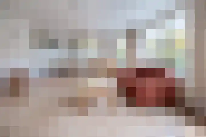 Tarweakker 26 Barneveld thumbnail 6