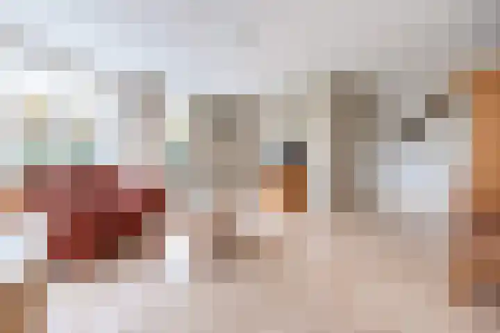 Tarweakker 26 Barneveld thumbnail 8