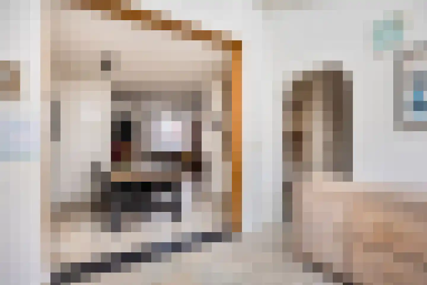 Tarweakker 3 Nuland thumbnail 14