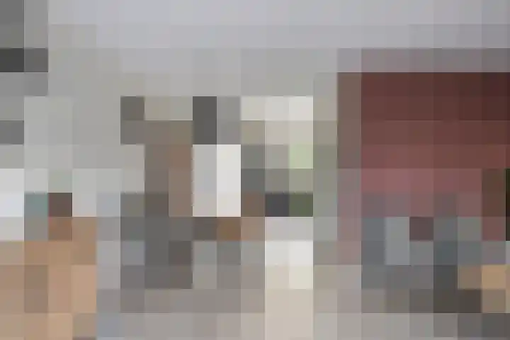 Tarweakker 31 Heino thumbnail 10