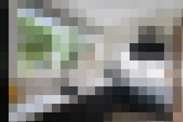 Tarweakker 31 Heino thumbnail 11