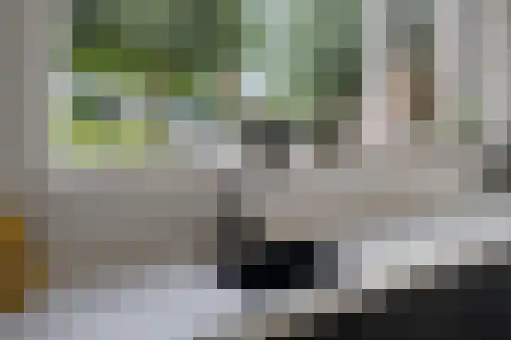 Tarweakker 31 Heino thumbnail 14