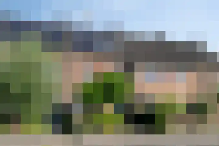 Tarweakker 31 Heino foto 2