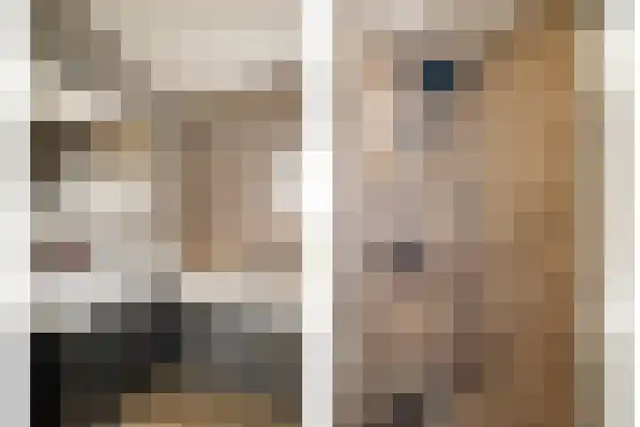 Tarweakker 31 Heino thumbnail 21