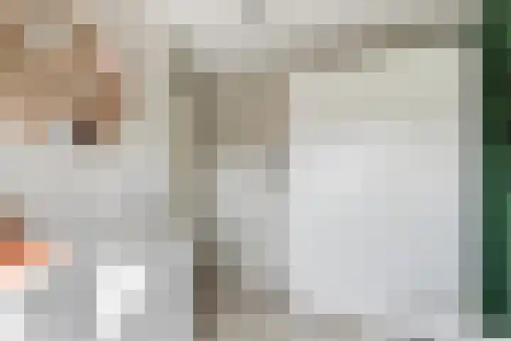 Tarweakker 31 Heino thumbnail 25