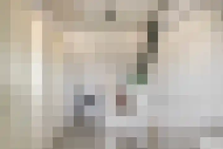 Tarweakker 31 Heino thumbnail 28