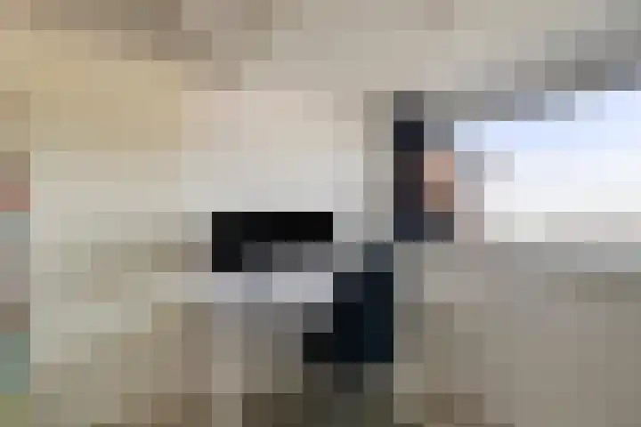 Tarweakker 31 Heino thumbnail 29