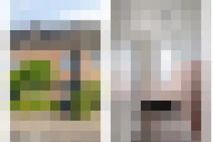 Tarweakker 31 Heino foto 3