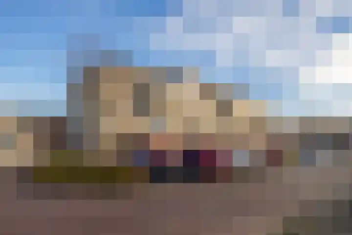 Tarweakker 31 Heino thumbnail 31