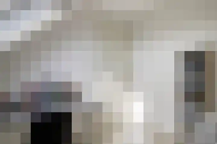 Tarweakker 31 Heino thumbnail 33