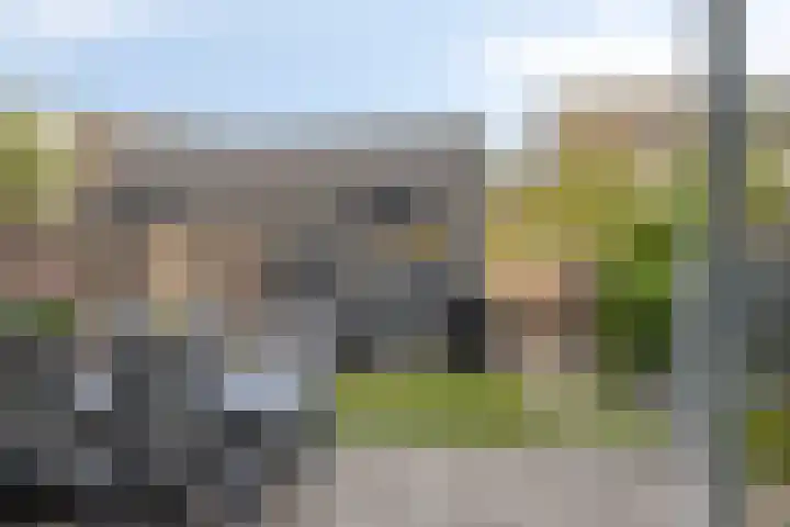 Tarweakker 31 Heino thumbnail 34