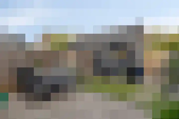 Tarweakker 31 Heino thumbnail 35