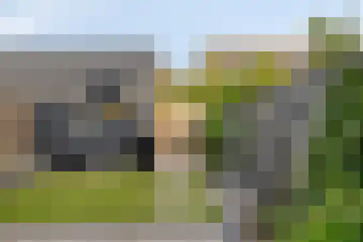 Tarweakker 31 Heino thumbnail 36