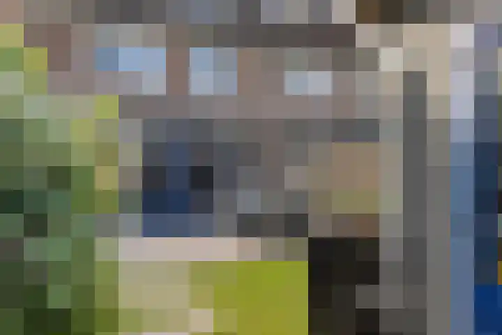 Tarweakker 31 Heino thumbnail 37