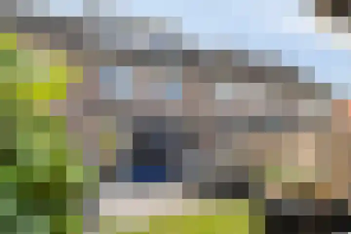 Tarweakker 31 Heino thumbnail 38